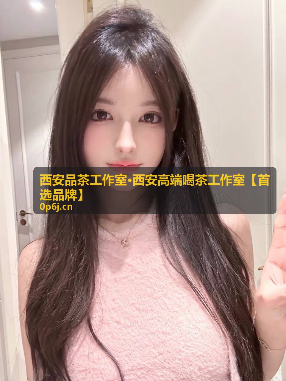 西安品茶工作室茶艺师冲泡服务